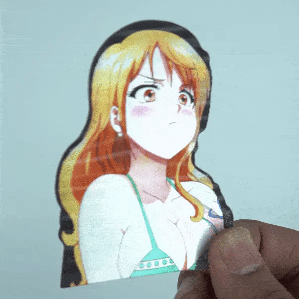 One piece waifu’s mini 3D sticker