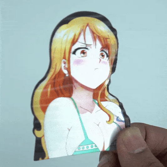One piece waifu’s mini 3D sticker